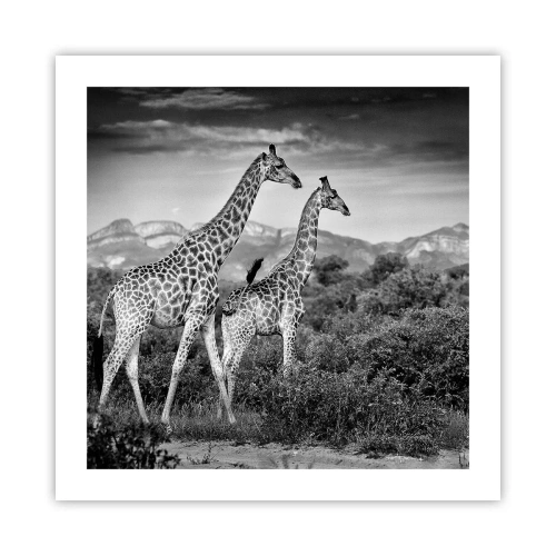 Poster - Higher Spheres in Africa - 50x50 cm