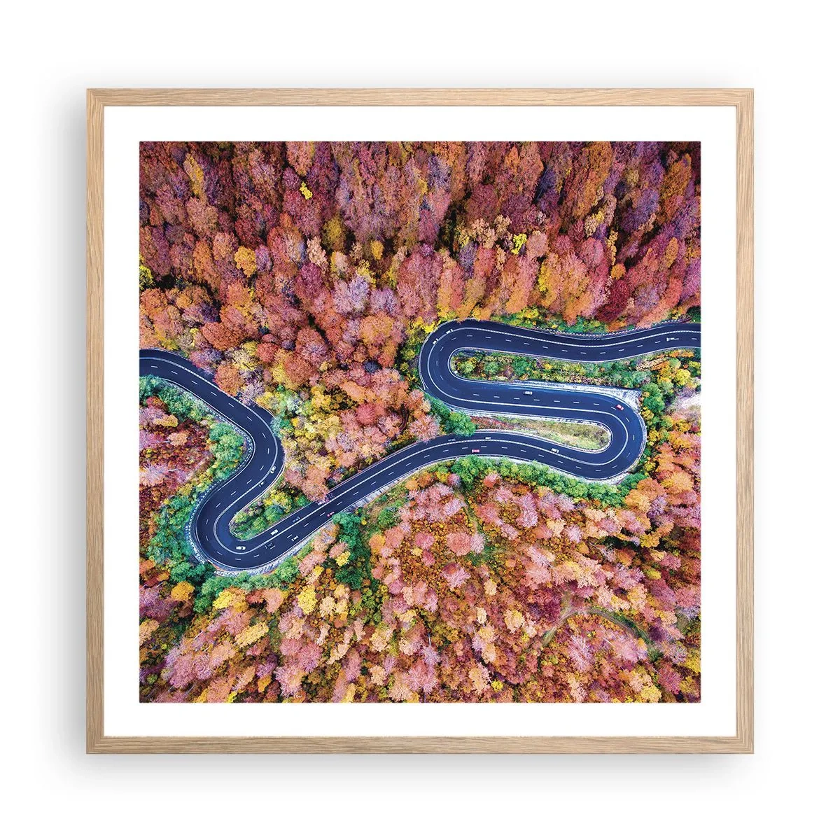 Poster in light oak frame - Winding Path through a Forest - 60x60 cm