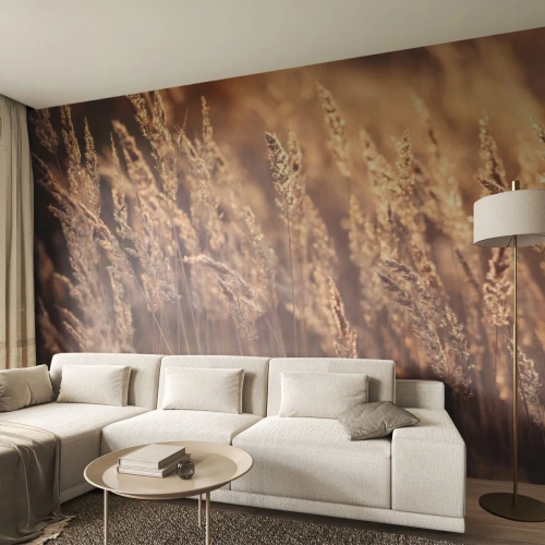 Photo Wallpaper Premium Sand - Ready to Welcome Autumn - Landscape, Ears of Grain, Meadow - 350x256 cm