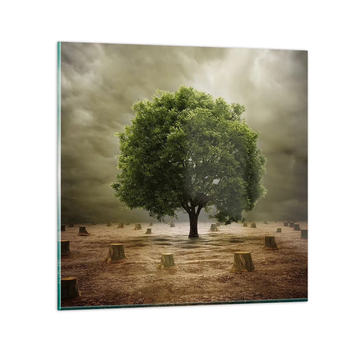 Glass picture - Entire Hope - 70x70 cm