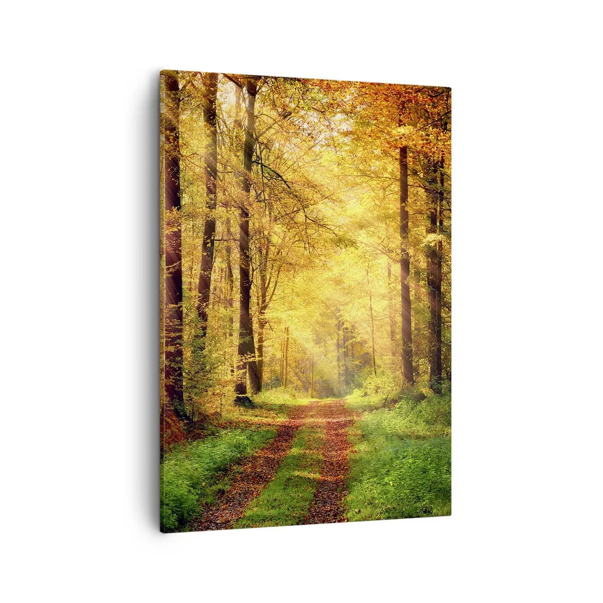 Canvas picture - Forest Golden silence - 50x70 cm