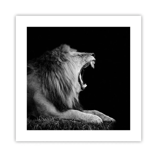 Poster - Without Any Doubt - 40x40 cm