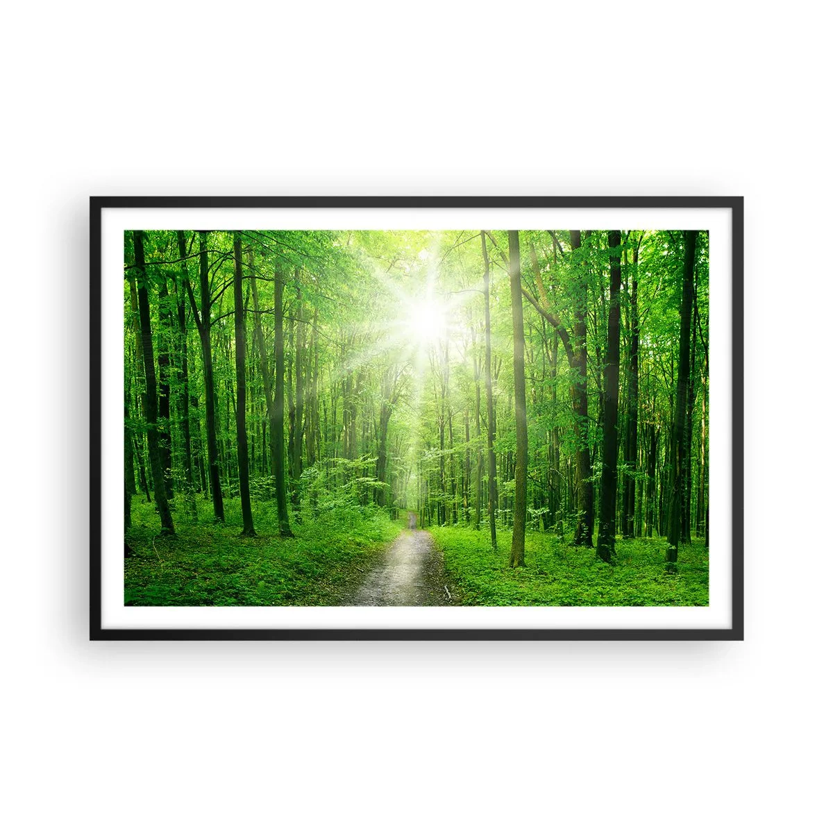 Poster in black frame - Green Cathedral - 91x61 cm
