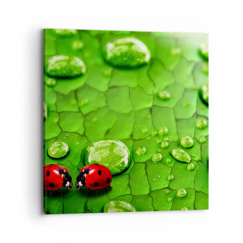 Canvas picture - Encounter in Green - 70x70 cm