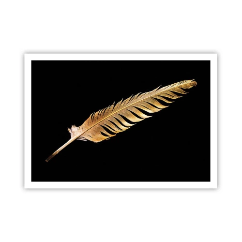 Poster - High-Class Feather - 100x70 cm