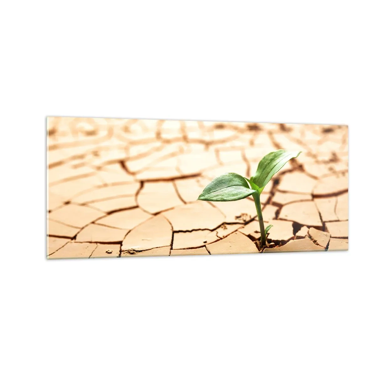 Glass picture - Untamed Life Force - 100x40 cm