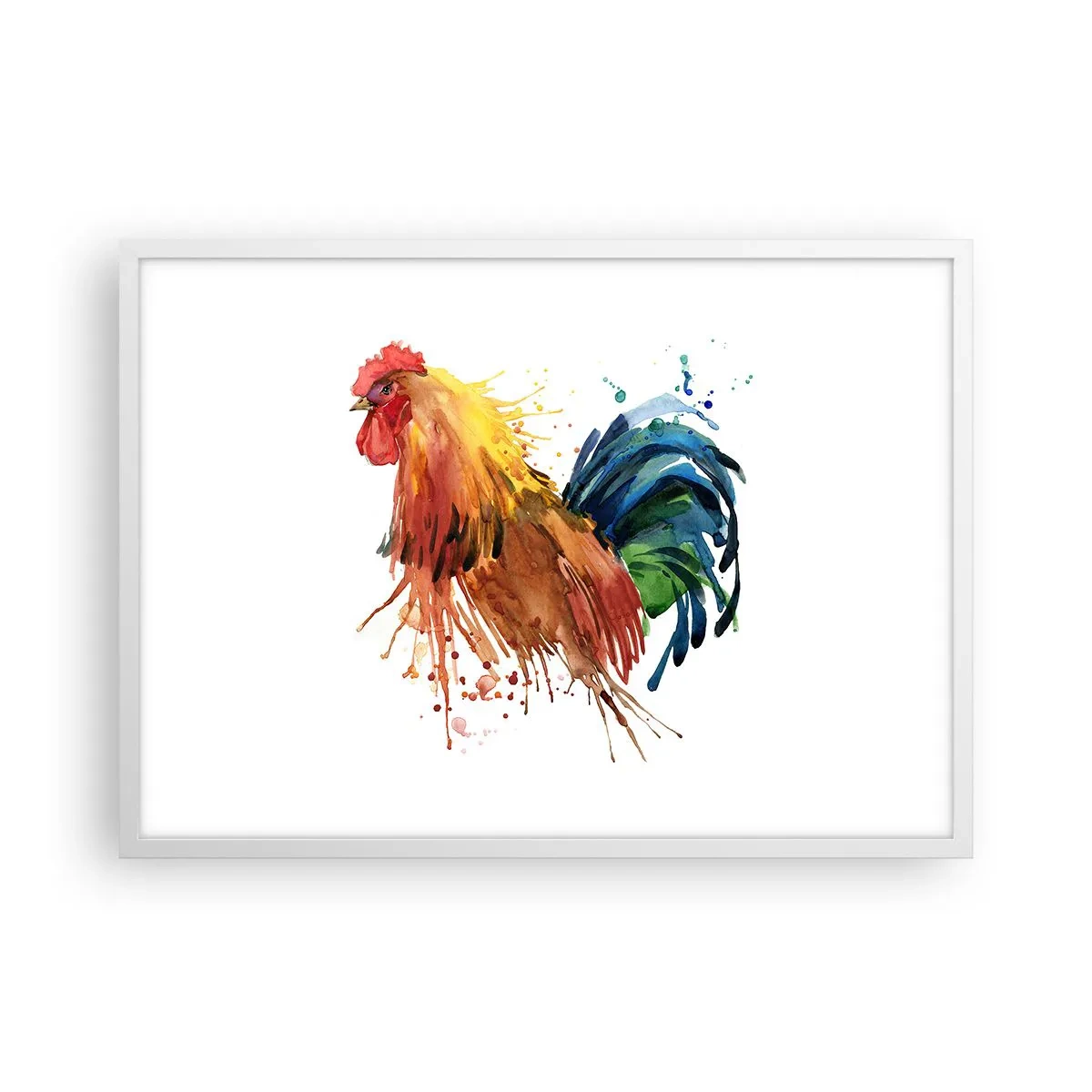 Poster in white frmae - King Rooster - 70x50 cm