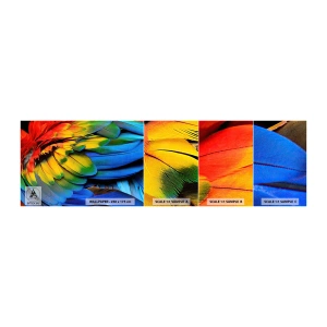 Photo Wallpaper Sample Self-Adhesive Deluxe Sticker - Bird Of Paradise - Colorful feathers, Parrot feathers, Animals - 100x30 cm