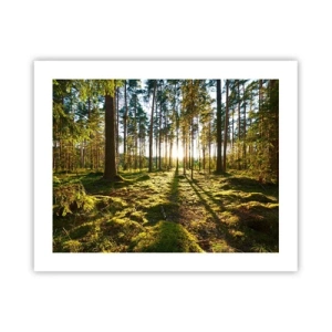 Poster - Deep in the Forest - 50x40 cm