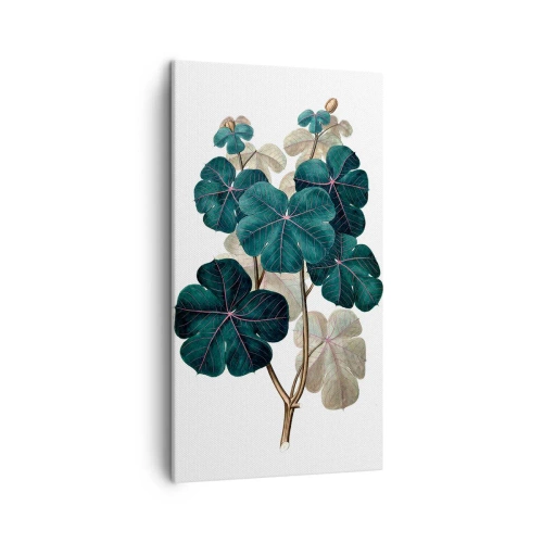 Canvas picture - From the Old Herbarium - 45x80 cm