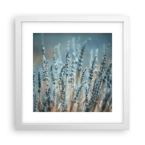 Poster in white frmae - Fragrant Grass - 30x30 cm
