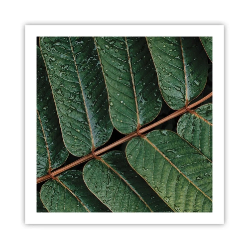 Poster - In Green Rhythm - 60x60 cm