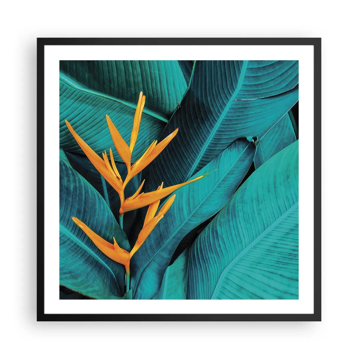 Poster in black frame - Flower of Eden - 60x60 cm