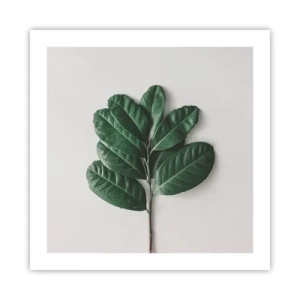 Poster - Drawing of Nature Itself - 50x50 cm