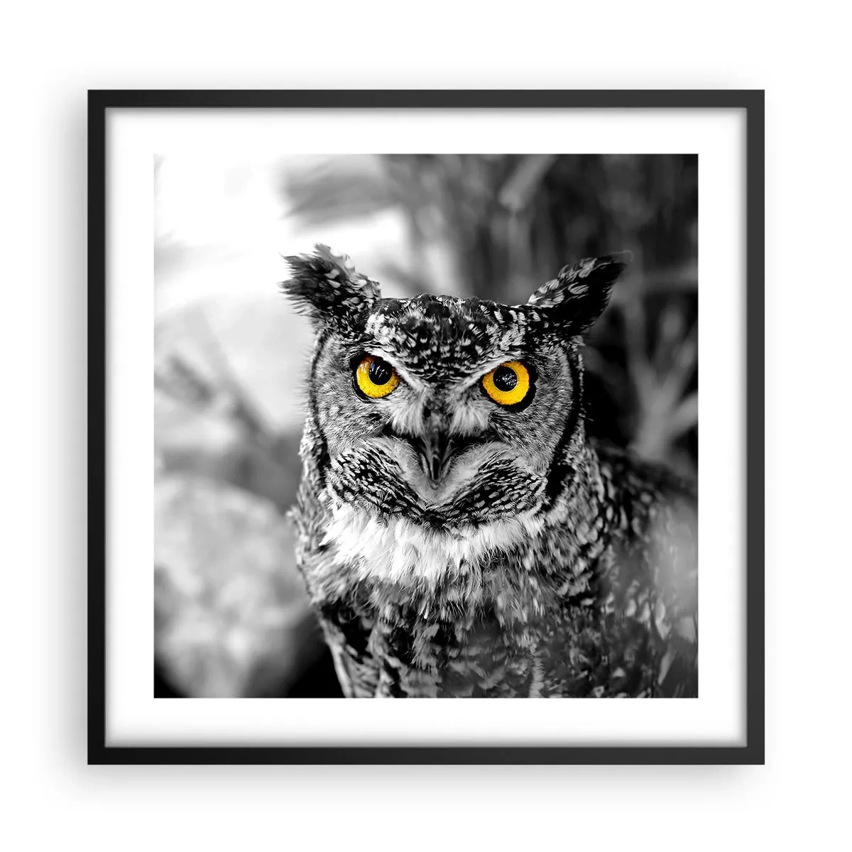 Poster in black frame - Nothing Can Hide - 50x50 cm