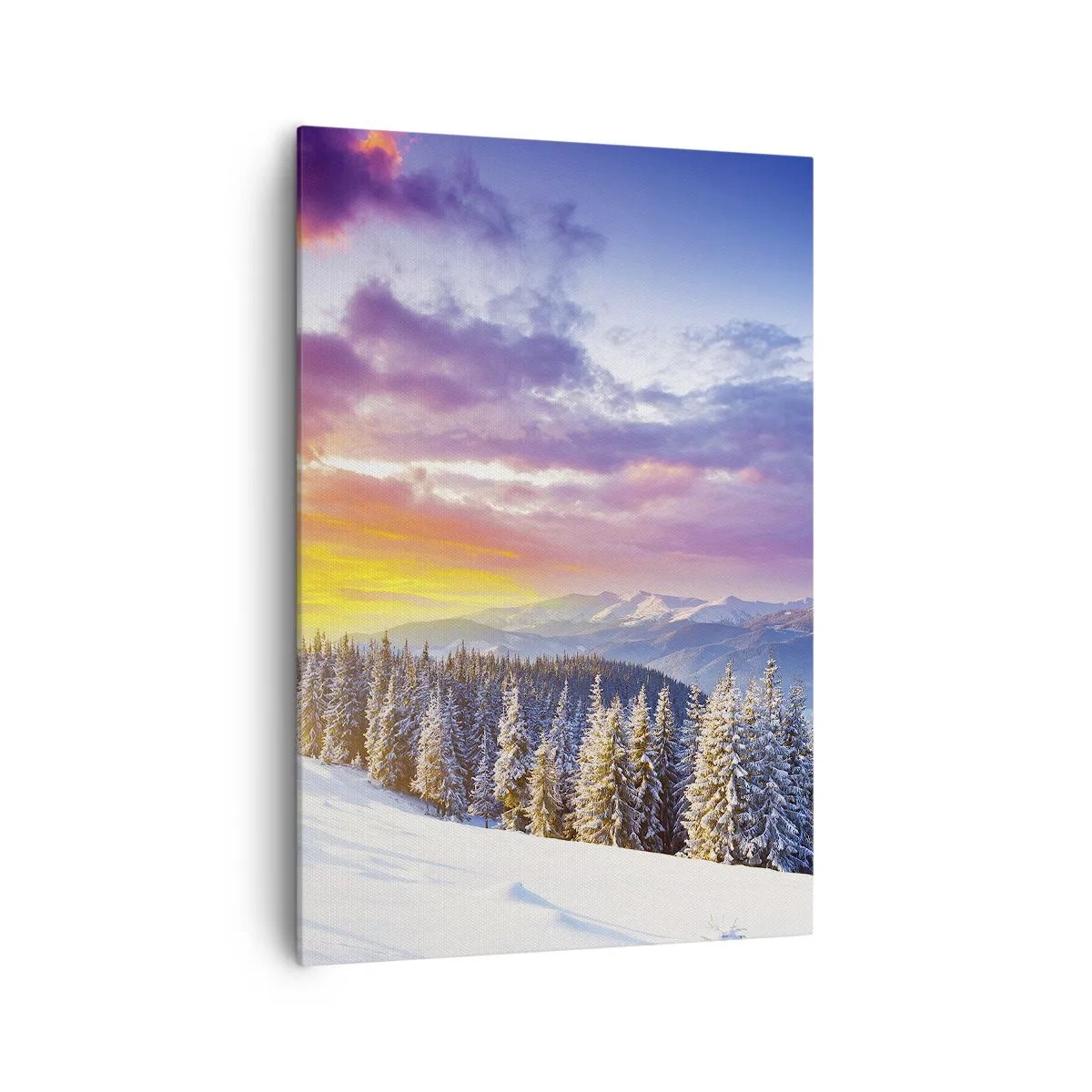 Canvas picture - In Plain Daylight - 70x100 cm