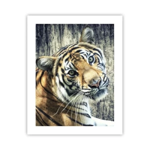 Poster - Portrait in Rays of Light - 40x50 cm