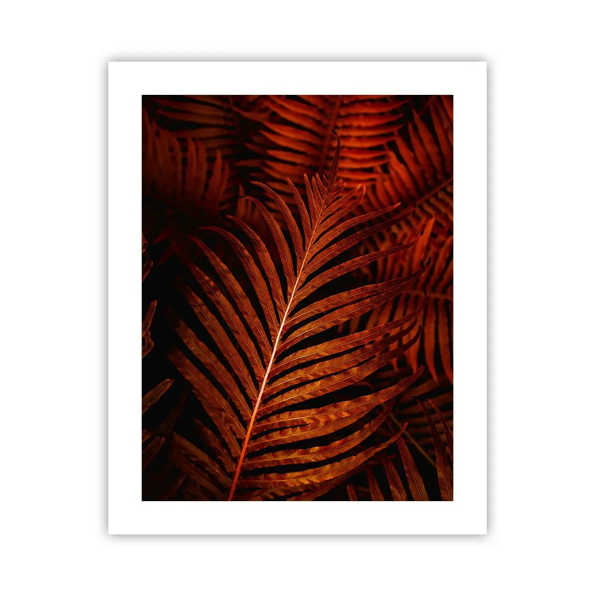 Poster - Heat of Life - 40x50 cm