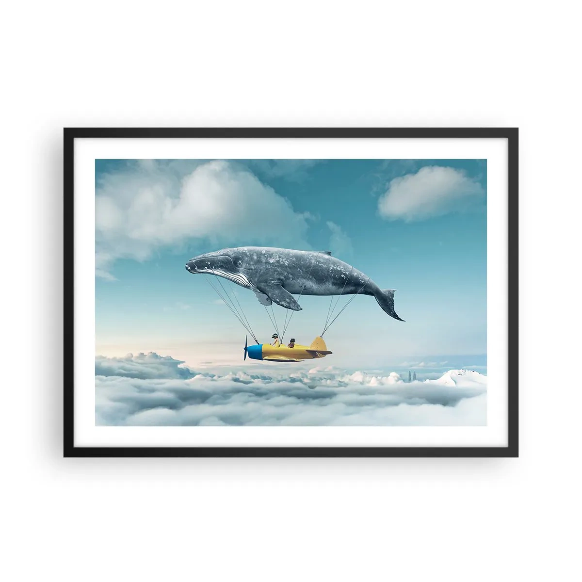 Poster in black frame - Why Not? - 70x50 cm