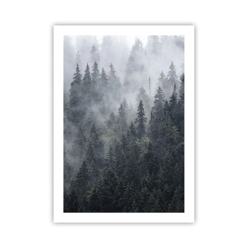 Poster - Forest World - 50x70 cm