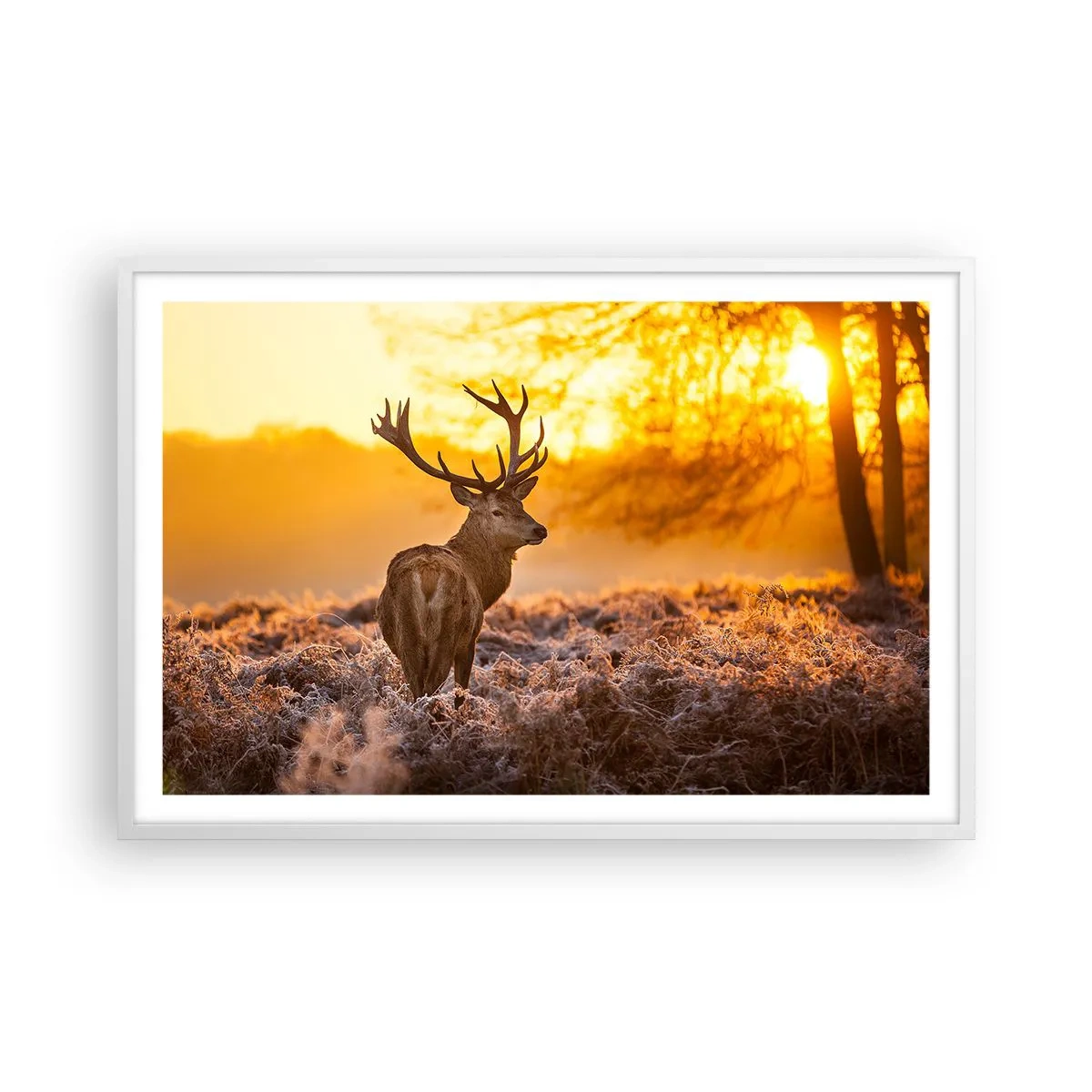 Poster in white frmae - King of Autumnal Forest - 91x61 cm