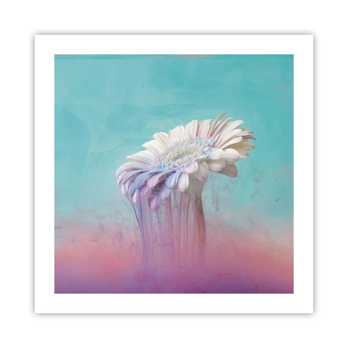 Poster - Afterlife of Flowers - 50x50 cm