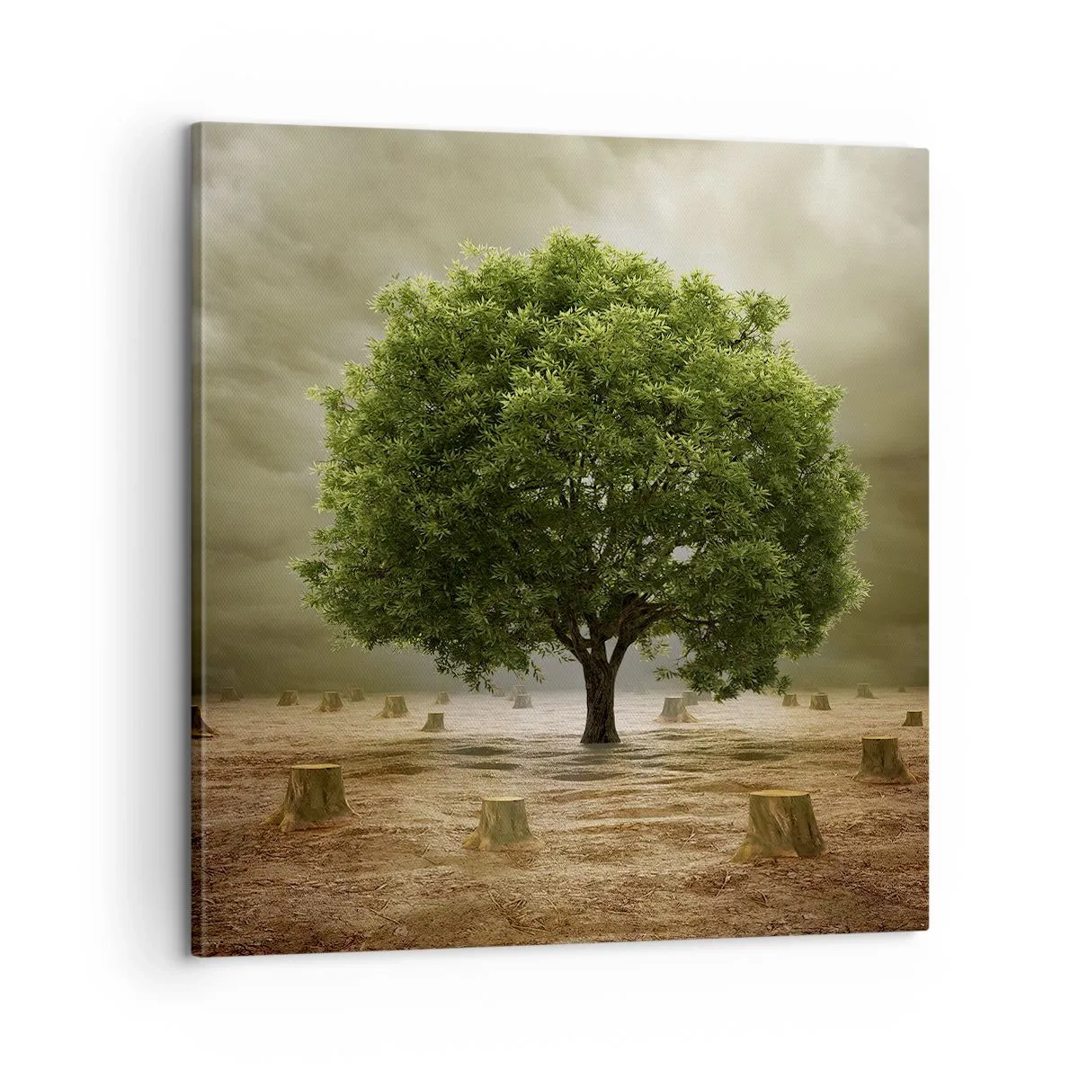 Canvas picture - Entire Hope - 60x60 cm