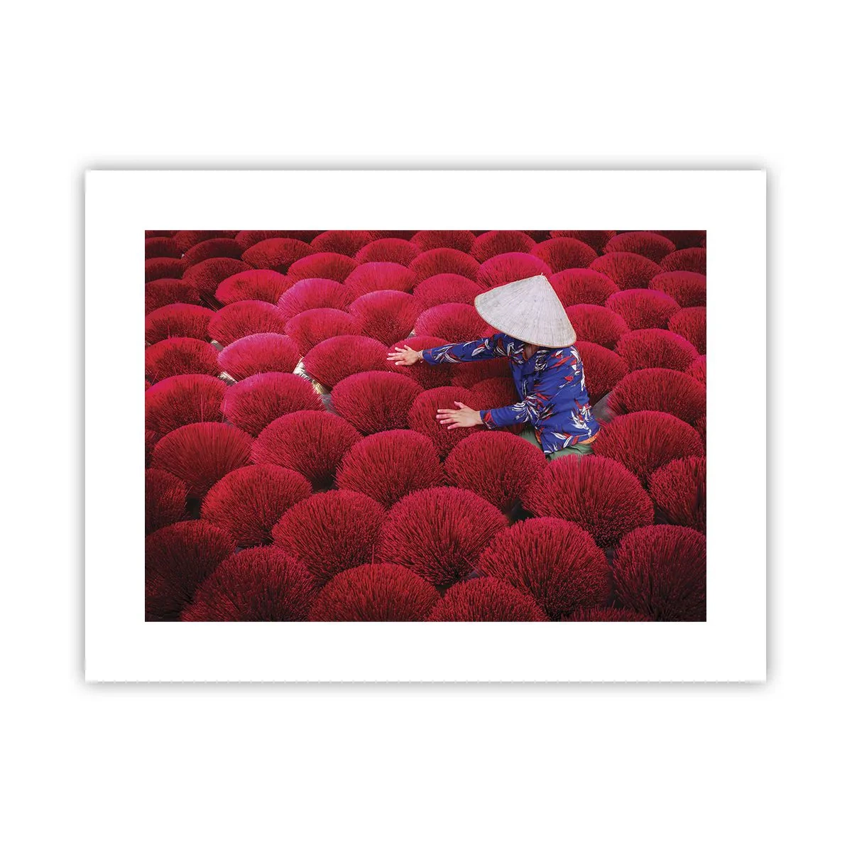 Poster - In the Rice Field - 40x30 cm