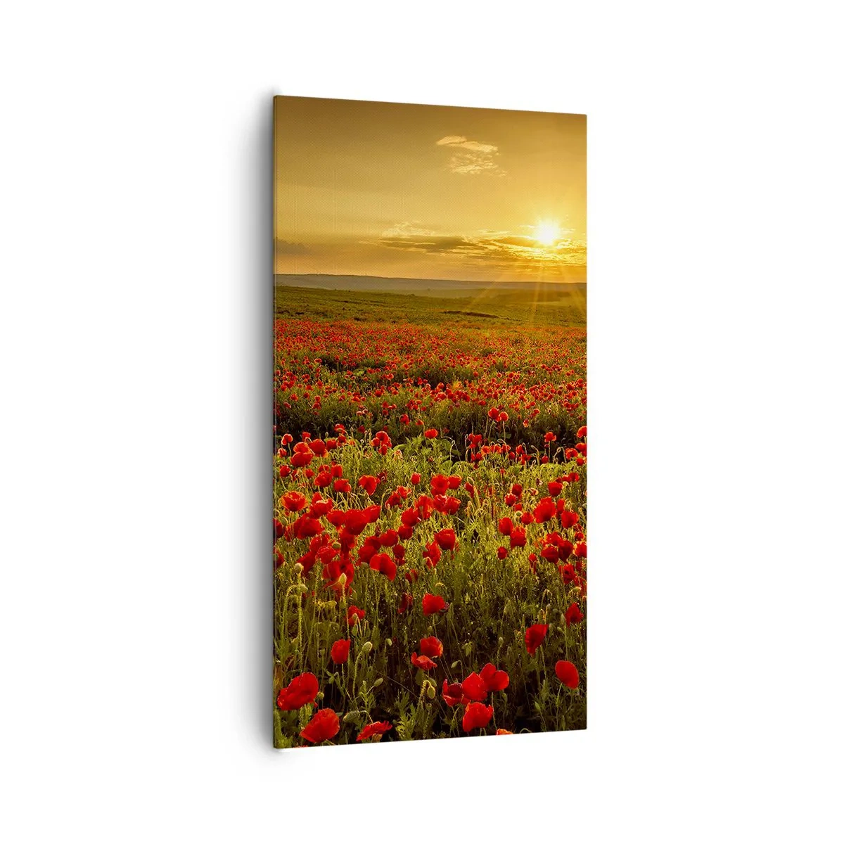 Canvas picture - In the Meadow, among Flood of Flowers - 65x120 cm