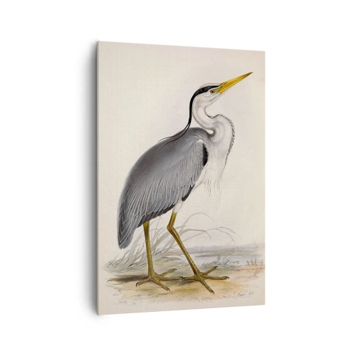 Canvas picture - Charm of a Heron - 70x100 cm