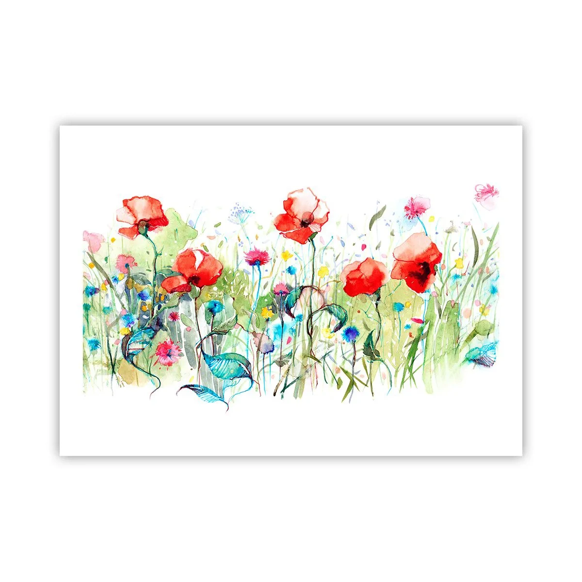 Poster - Meadow in May - 70x50 cm