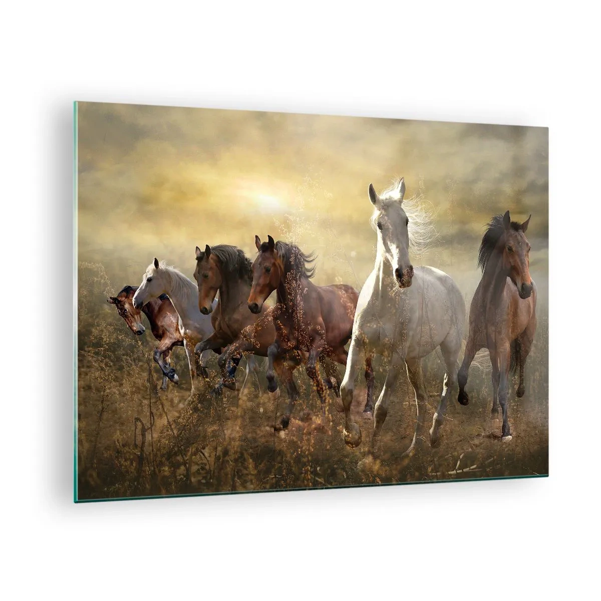 Glass picture - A herd of horses galloping in the rays of the setting sun - 70x50cm - Long Live Freedom! - Modern wall decoration for the living room and bedroom ARTTOR