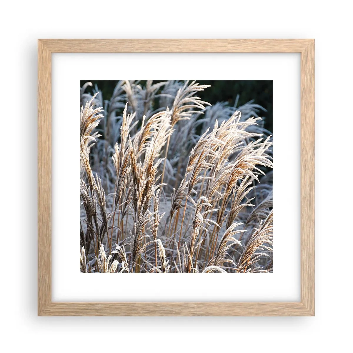 Poster in light oak frame - Decorated with Frost - 30x30 cm