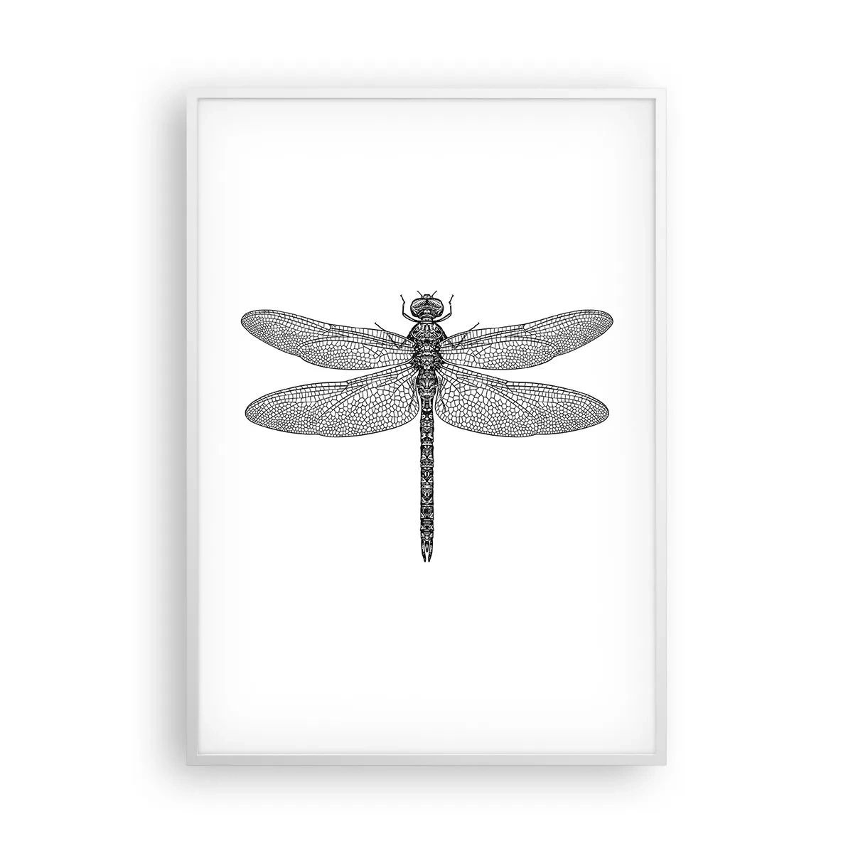 Poster in white frmae - Precision of Nature - 70x100 cm