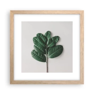 Poster in light oak frame - Drawing of Nature Itself - 30x30 cm