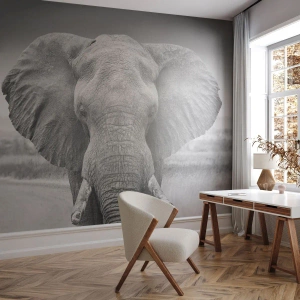 Photo Wallpaper Premium Sand - Welcome to My World - Elephant, Africa, Animals - 300x210 cm
