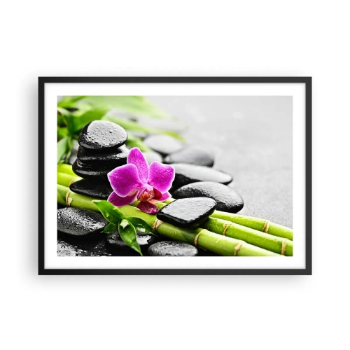 Poster in black frame - In a Peaceful Balance - 70x50 cm