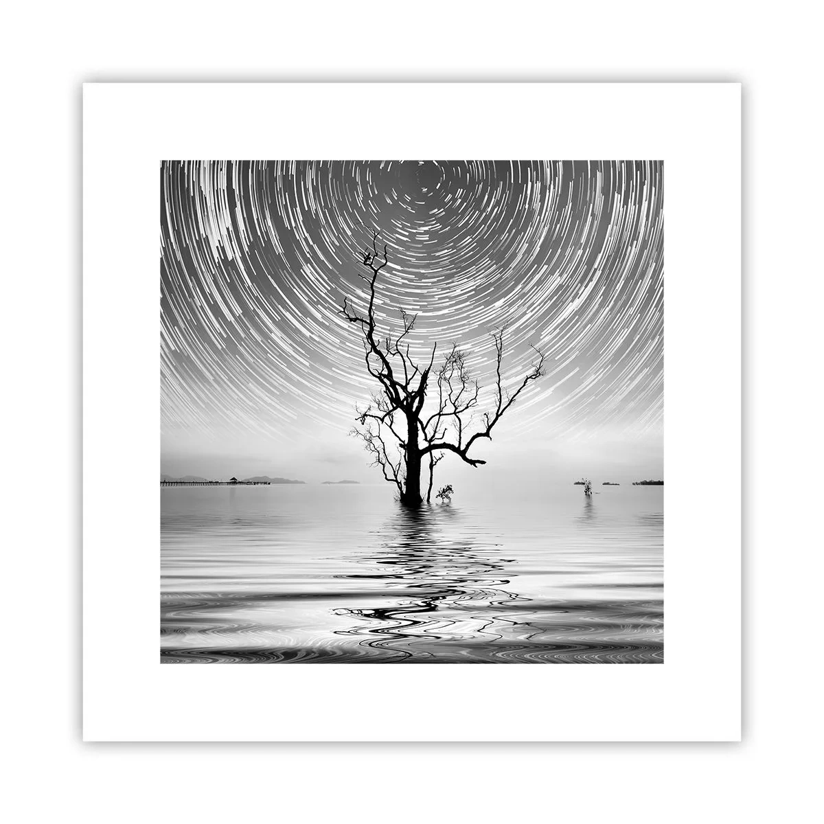 Poster - Symphony of Nature - 30x30 cm