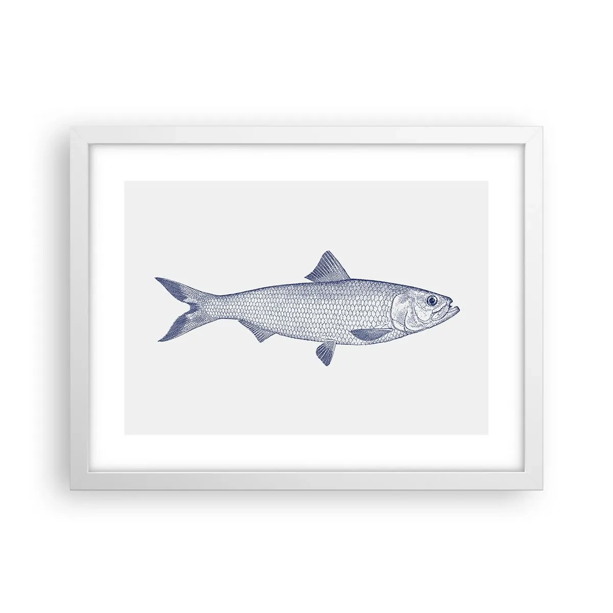 Poster in white frmae - Greetings From Northern Seas - 40x30 cm