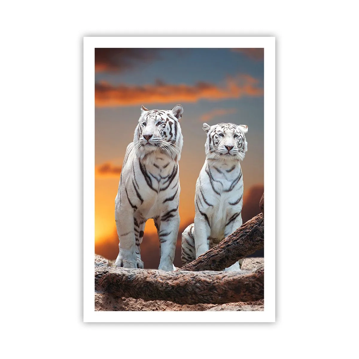 Poster - Just Like in Narnia - 61x91 cm