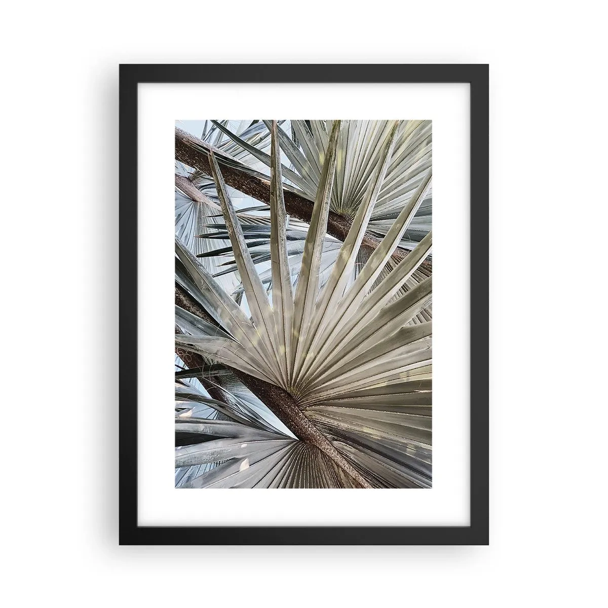 Poster in black frame - Fans in tropics - 30x40 cm