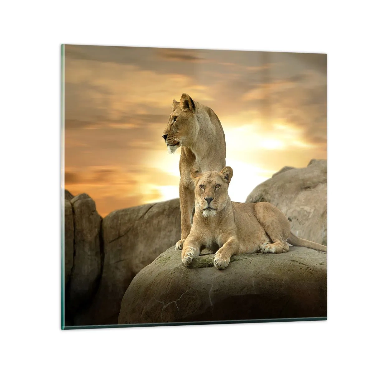 Glass picture - Royal Majesty - 30x30 cm
