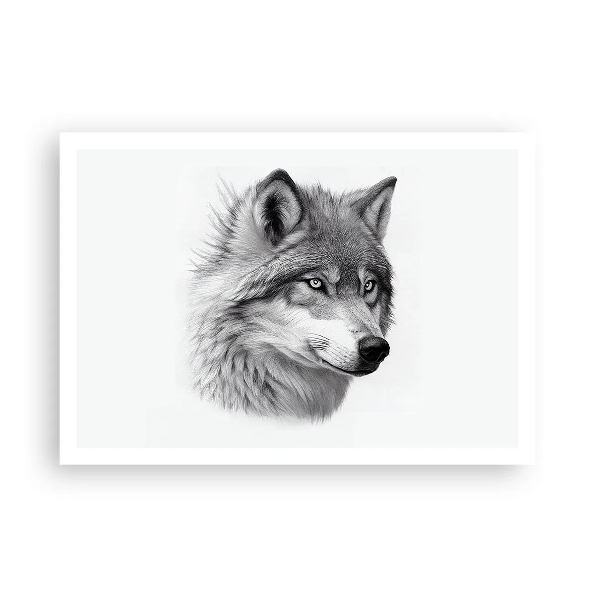 Poster - Alpha - Without a Doubt - 100x70 cm