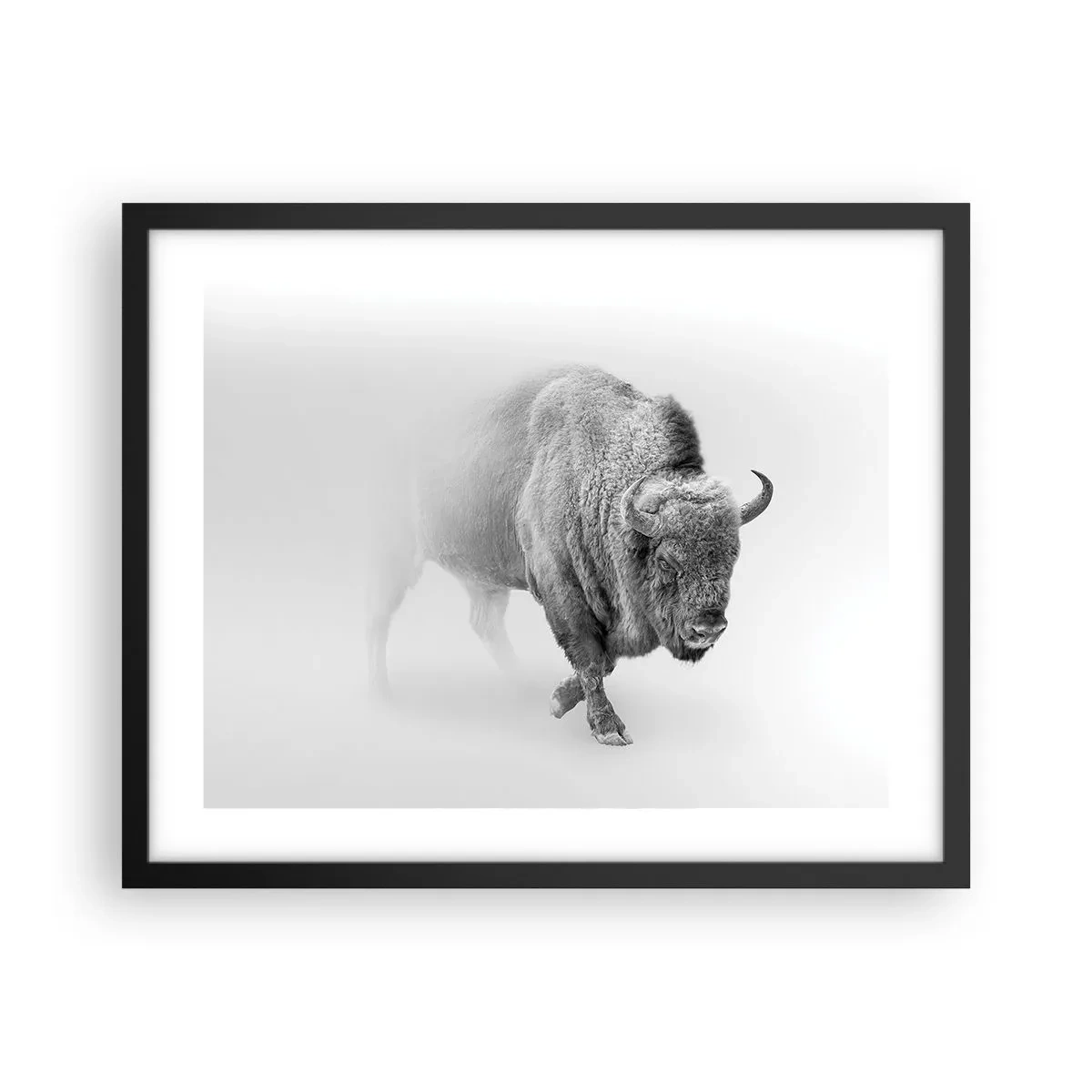 Poster in black frame - King of the Prairie - 50x40 cm