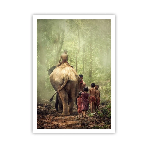 Poster - New Jungle Book - 70x100 cm