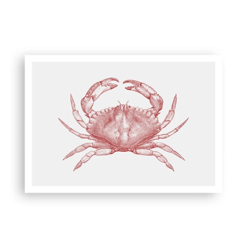 Poster - Crab Like No Other - 100x70 cm