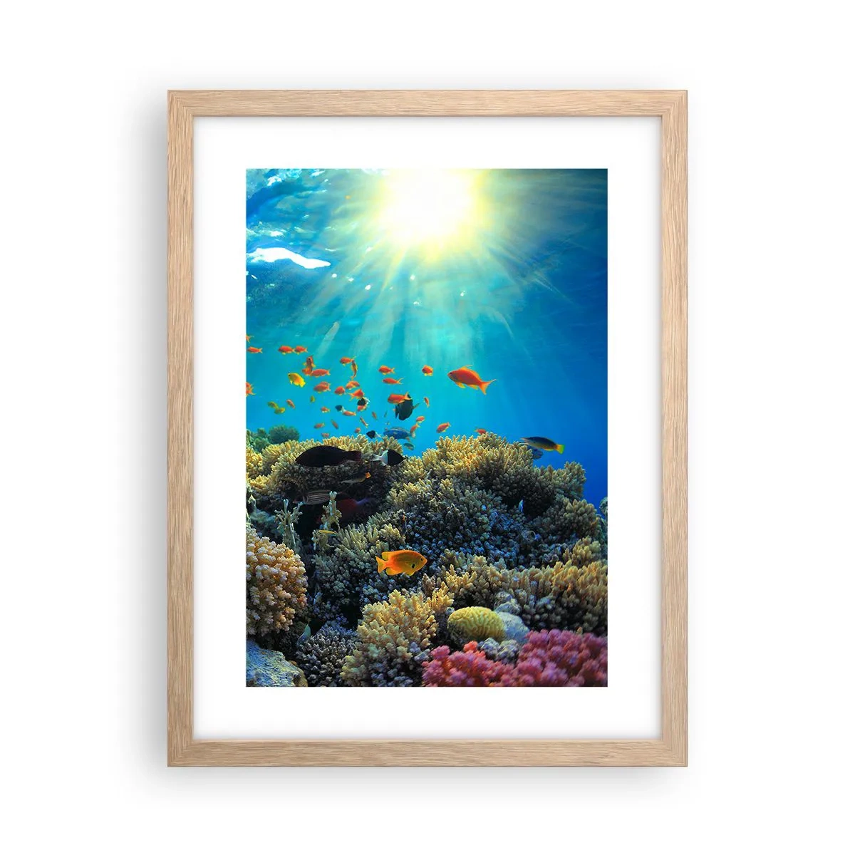 Poster in light oak frame - Underwater Treasures - 30x40 cm