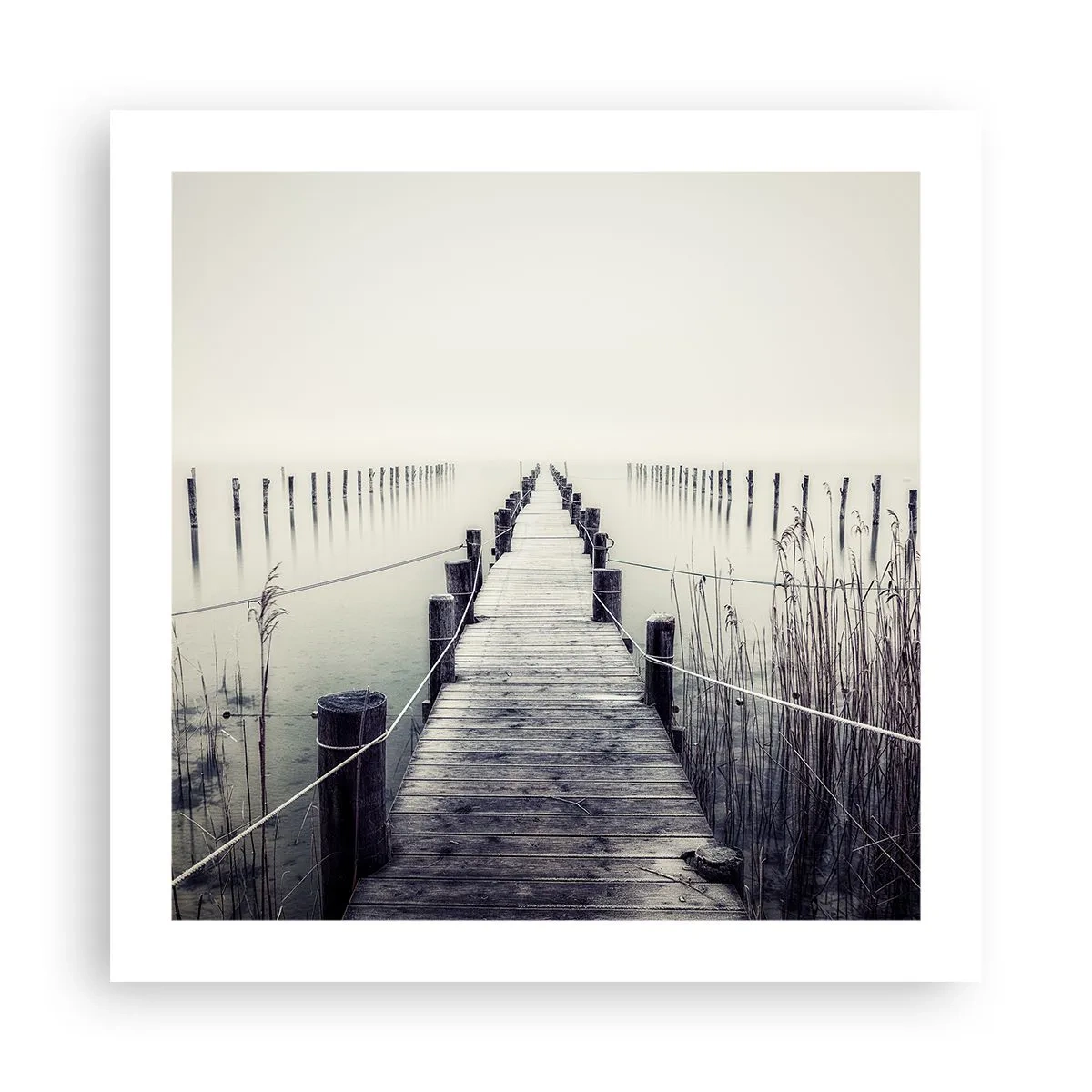 Poster - Immerse Yourself in Peace - 50x50 cm