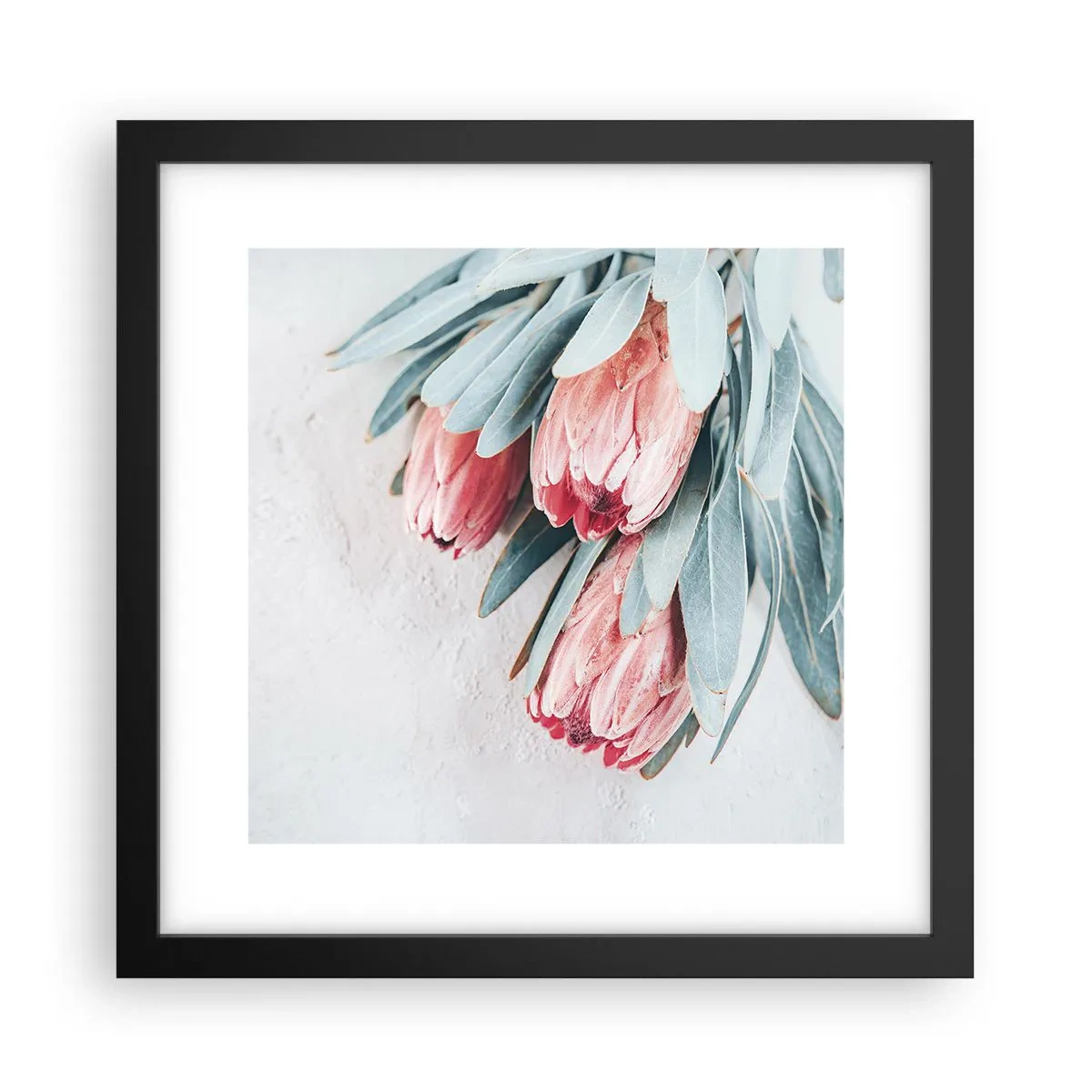 Poster in black frame - Ashamed of Their Own Beauty - 30x30 cm