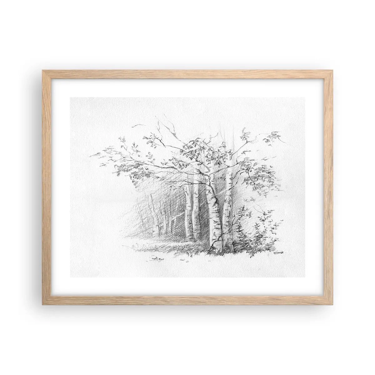 Poster in light oak frame - Holiday of Birch Forest - 50x40 cm